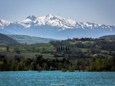 Lac de Montbel en hiver