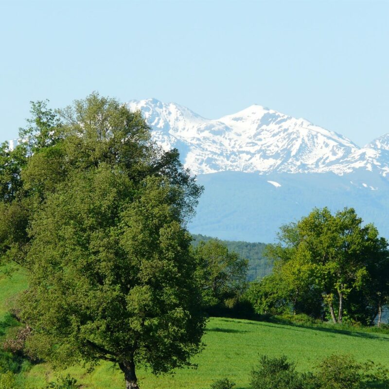 Vue_Pyrenees_Les pieds en eventail_Fevrier2023