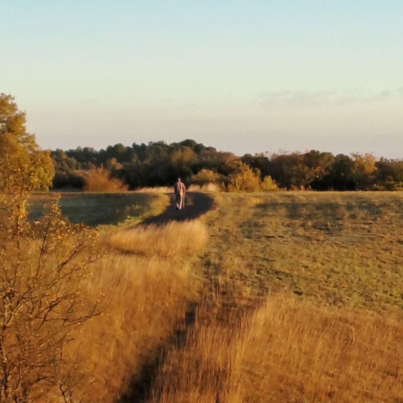 retraite-nature-reset-pause-gite-les-pieds-en-eventail
