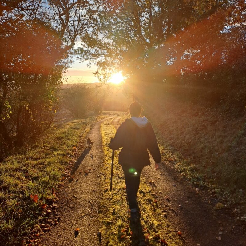 retraite-reconnexion-reset-aude-ariege-les-pieds-en-eventail